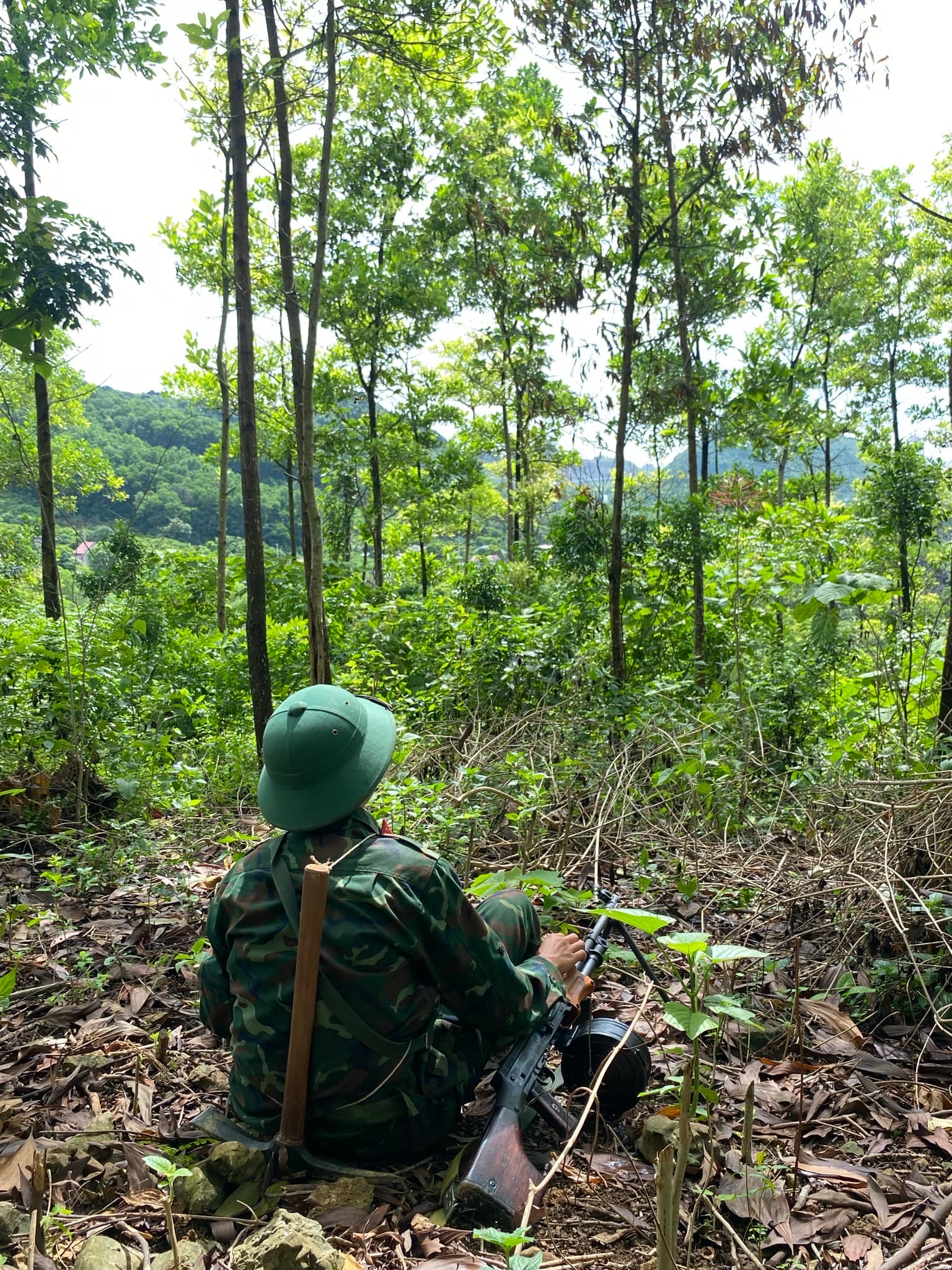 Phạm Long Vũ